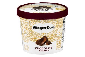 Helado Chocolate Pocillo Haagen-Dazs 106 ml