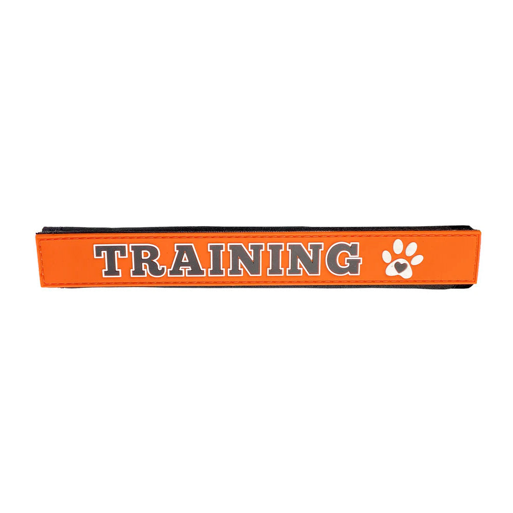 Correa Perro Training Multipet
