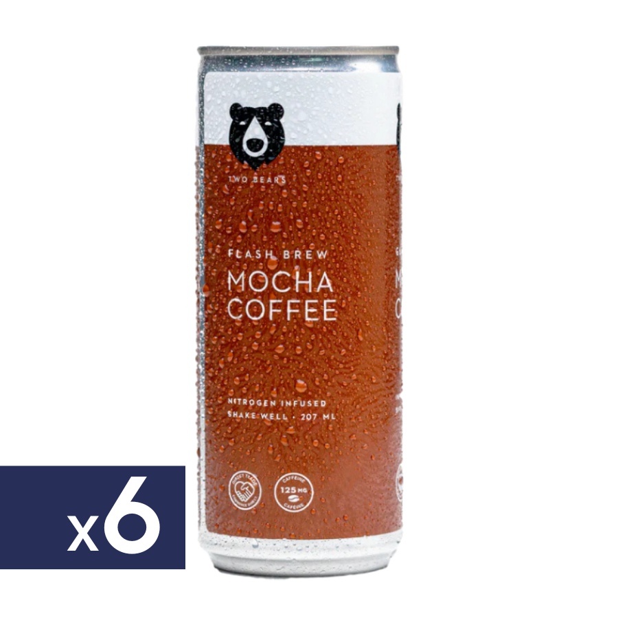 Café Mocha Flash Brew Two Bears 6 x 207 ml