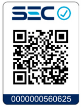 Calefactor de Pared Patio WiFi 2500W Everheat 1 un