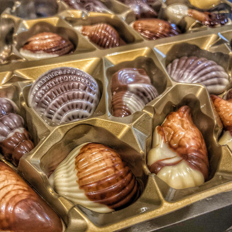 Chocolates Sea Shell Belgas Favora's 250 g