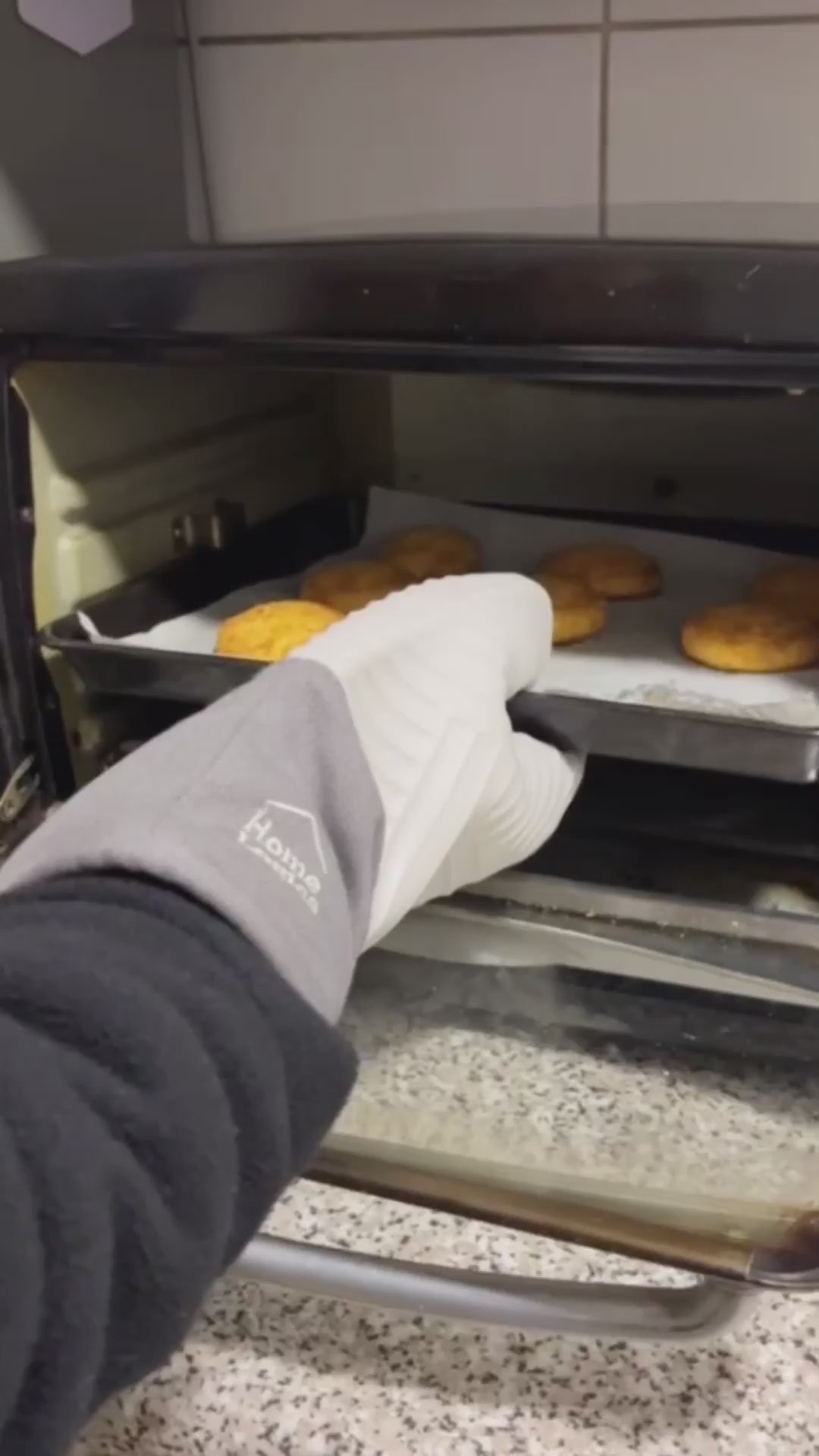 Guante para Horno Silicona Resistente Home Logics 1 un