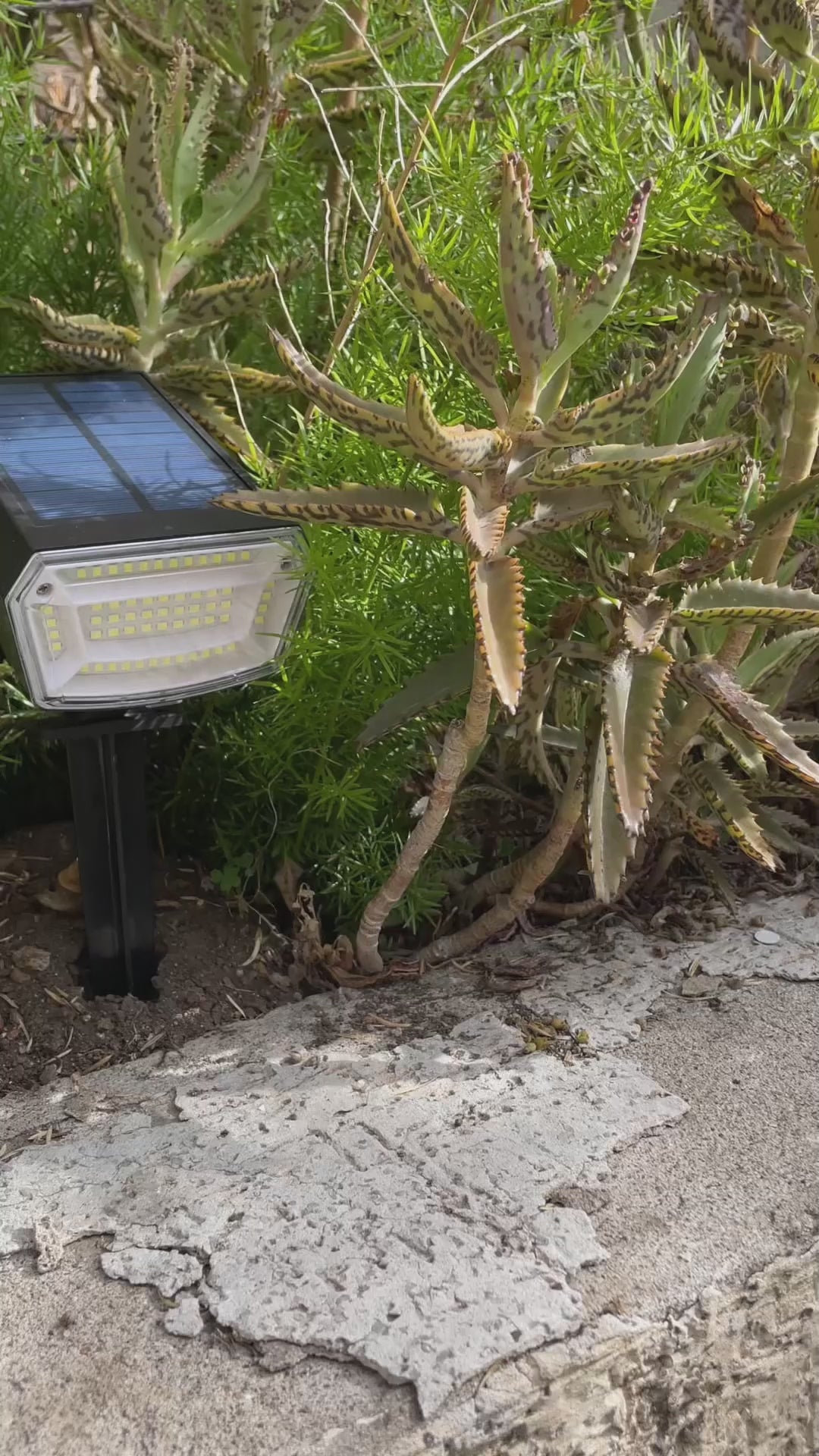 Foco Solar con Estaca Oris 1 un